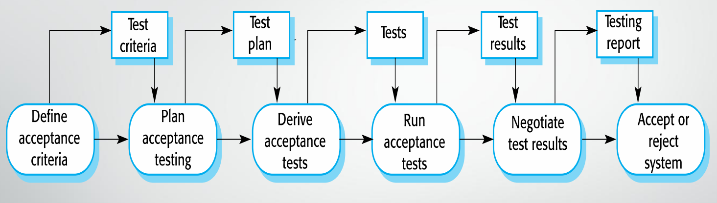 The Acceptance Testing Process